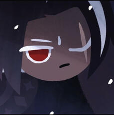 Dark choco cookie